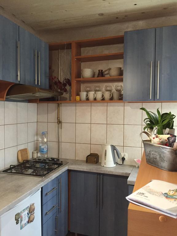 Heart Of Apartment Lemberg